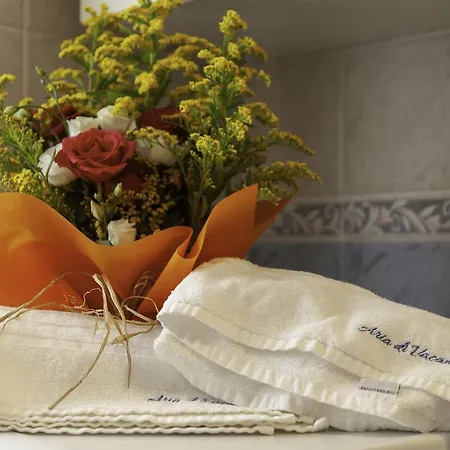Apartmán Aria Di Vacanza - Abete Bianco *